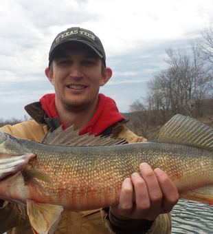 Walleye thrive in Branson waters!